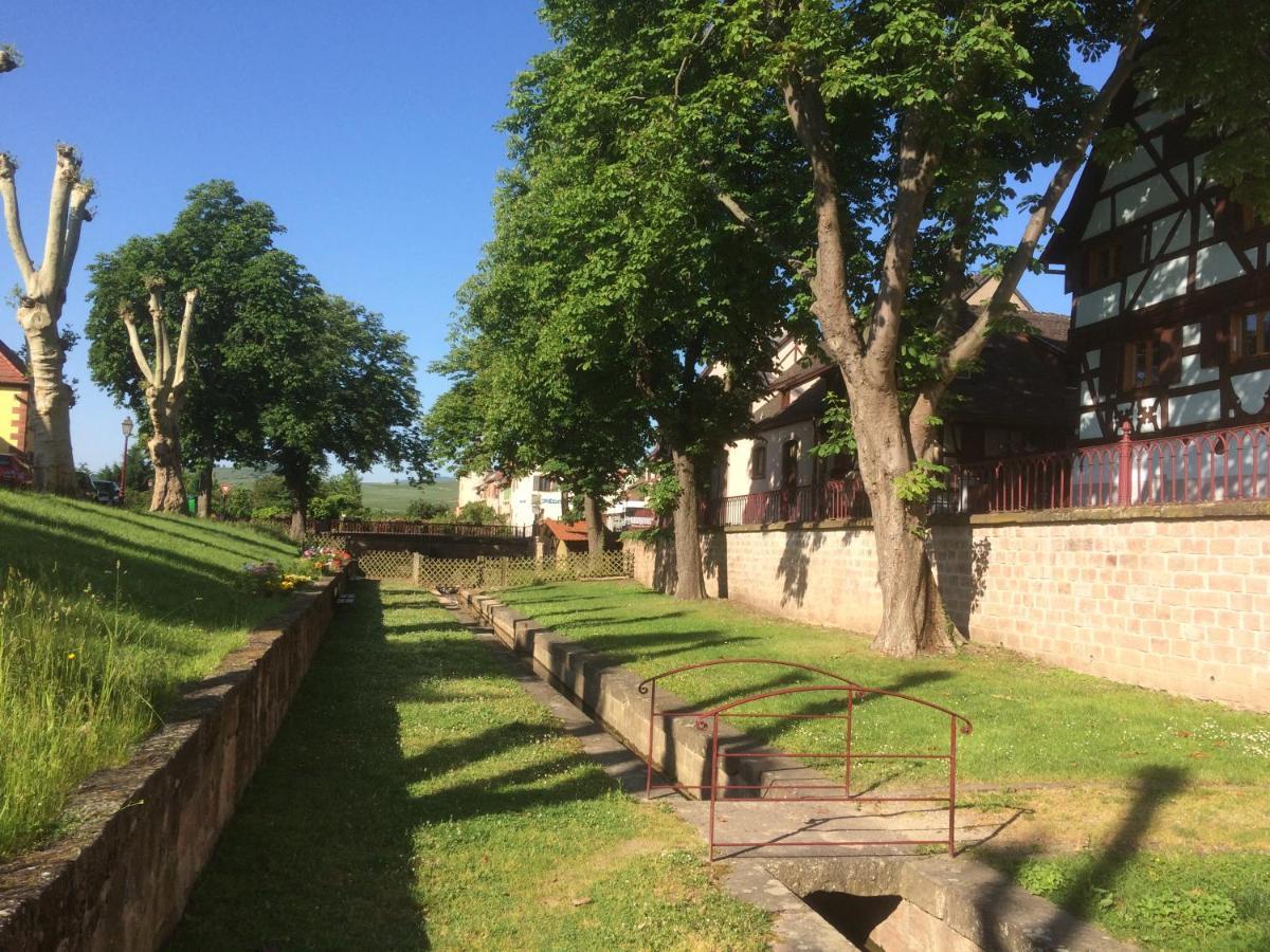 Bed and Breakfast Sylvie Fahrer et Fils Saint-Hippolyte  Exterior foto